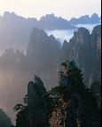 21 小小竹排画中游
